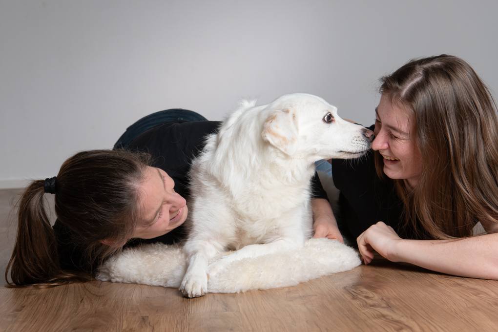 Hundeportraits