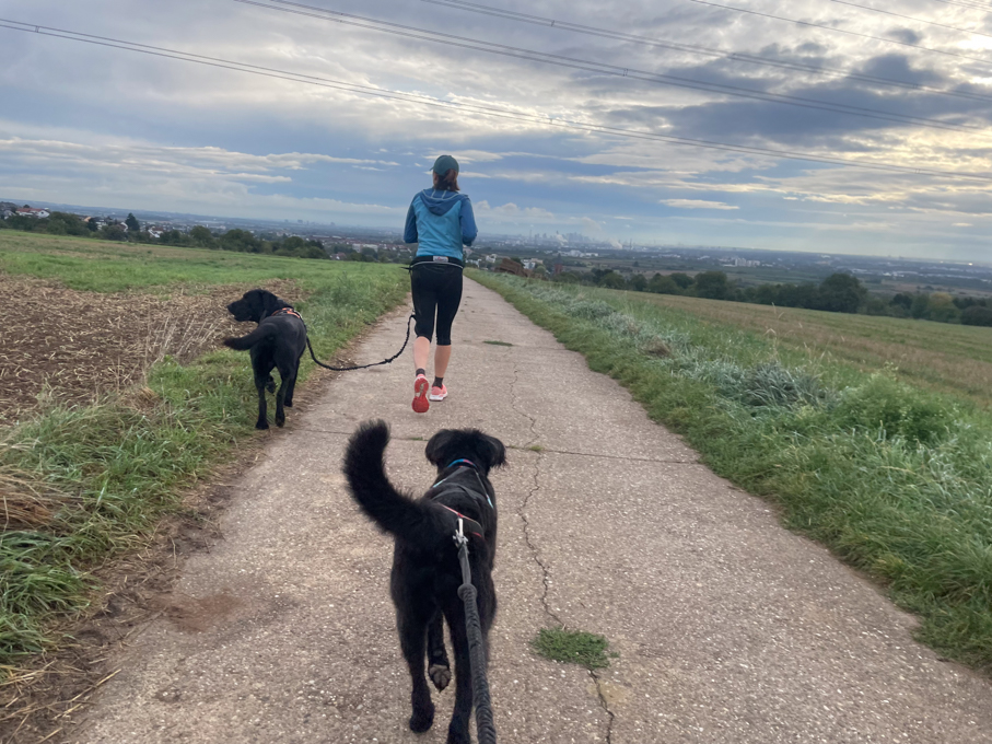joggen mit deinem Hund enjoy-canirail