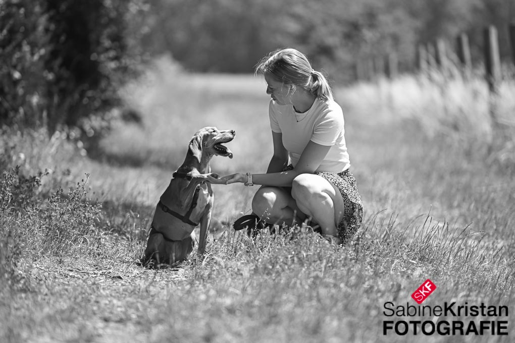 Sommerfotoshooting